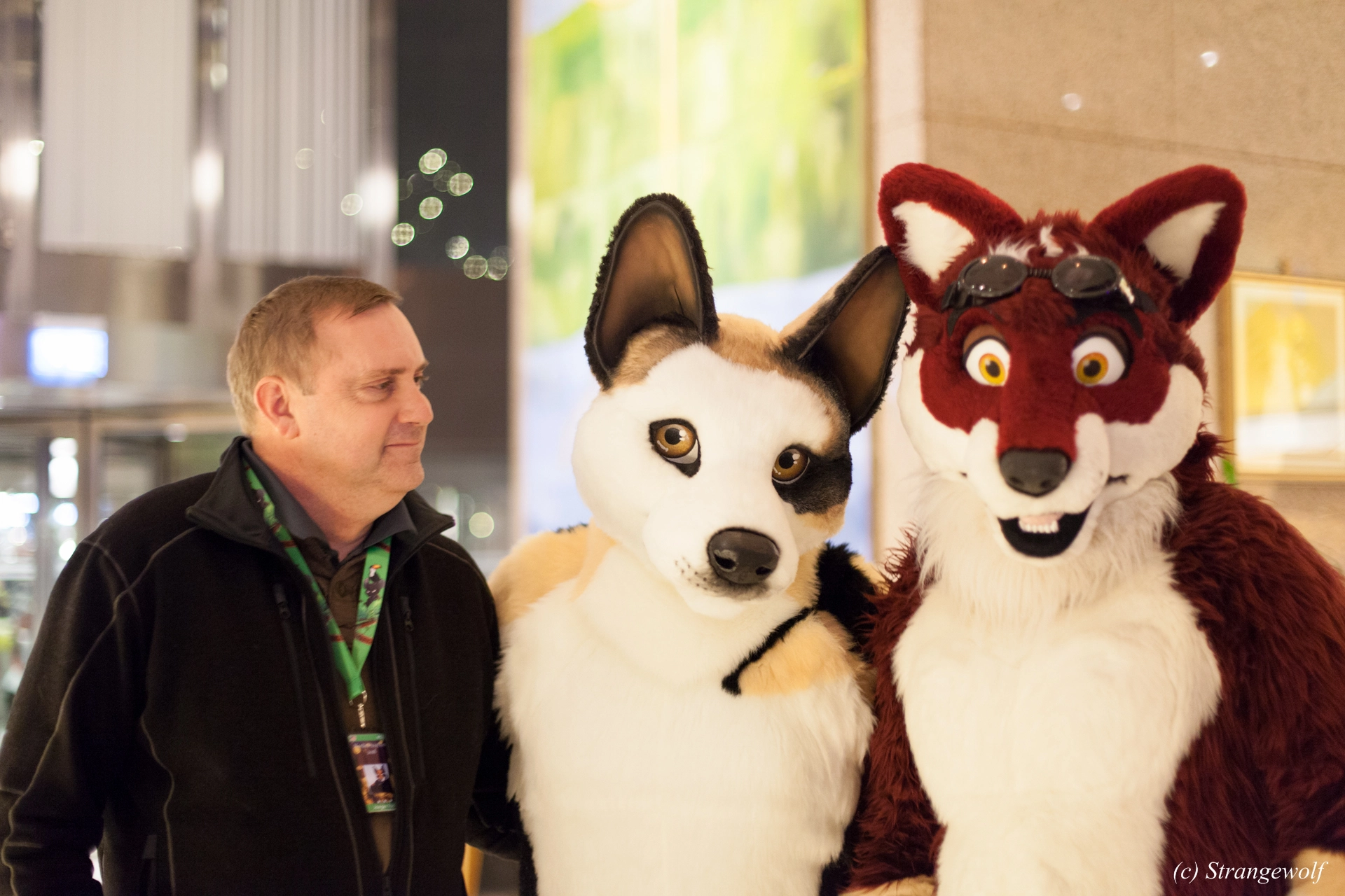 full image IMG_0860-lr19t.jpg