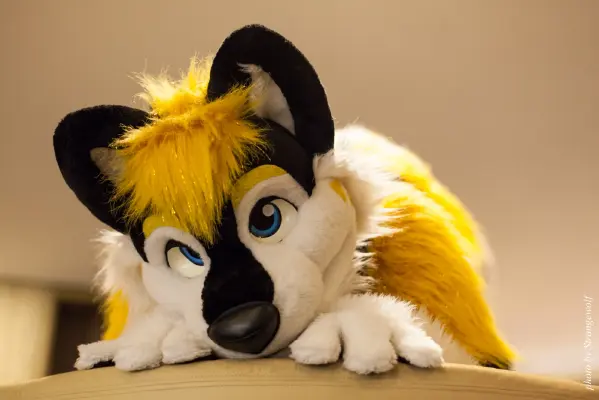 IMG_5374-lr16t.jpg of MFF/MFF2015/