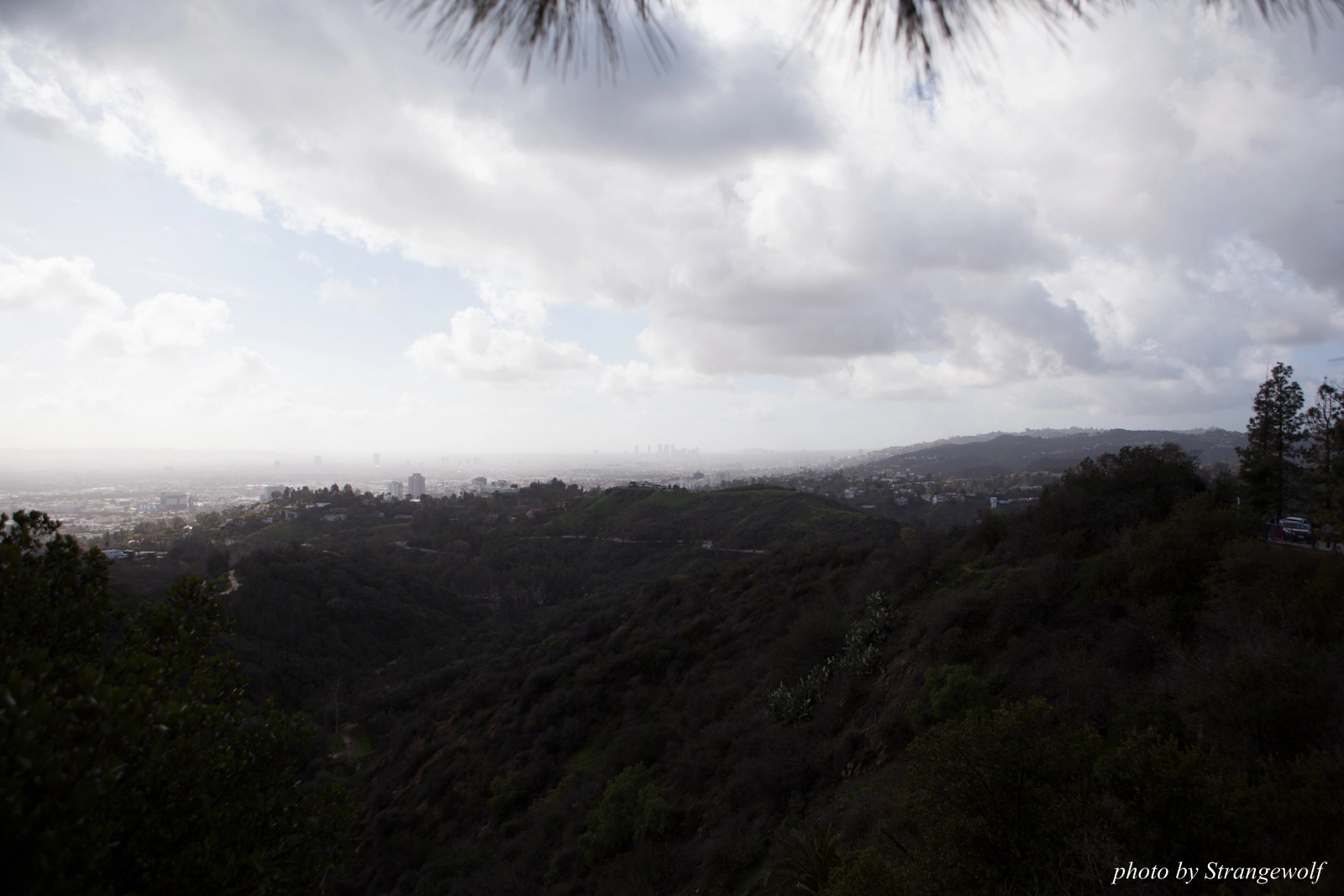 full image IMG_0954-lr16t.jpg