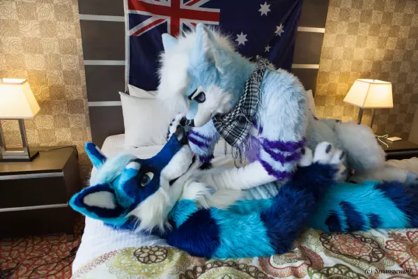 IMG_3237-lr19t.jpg of BLFC/2018/