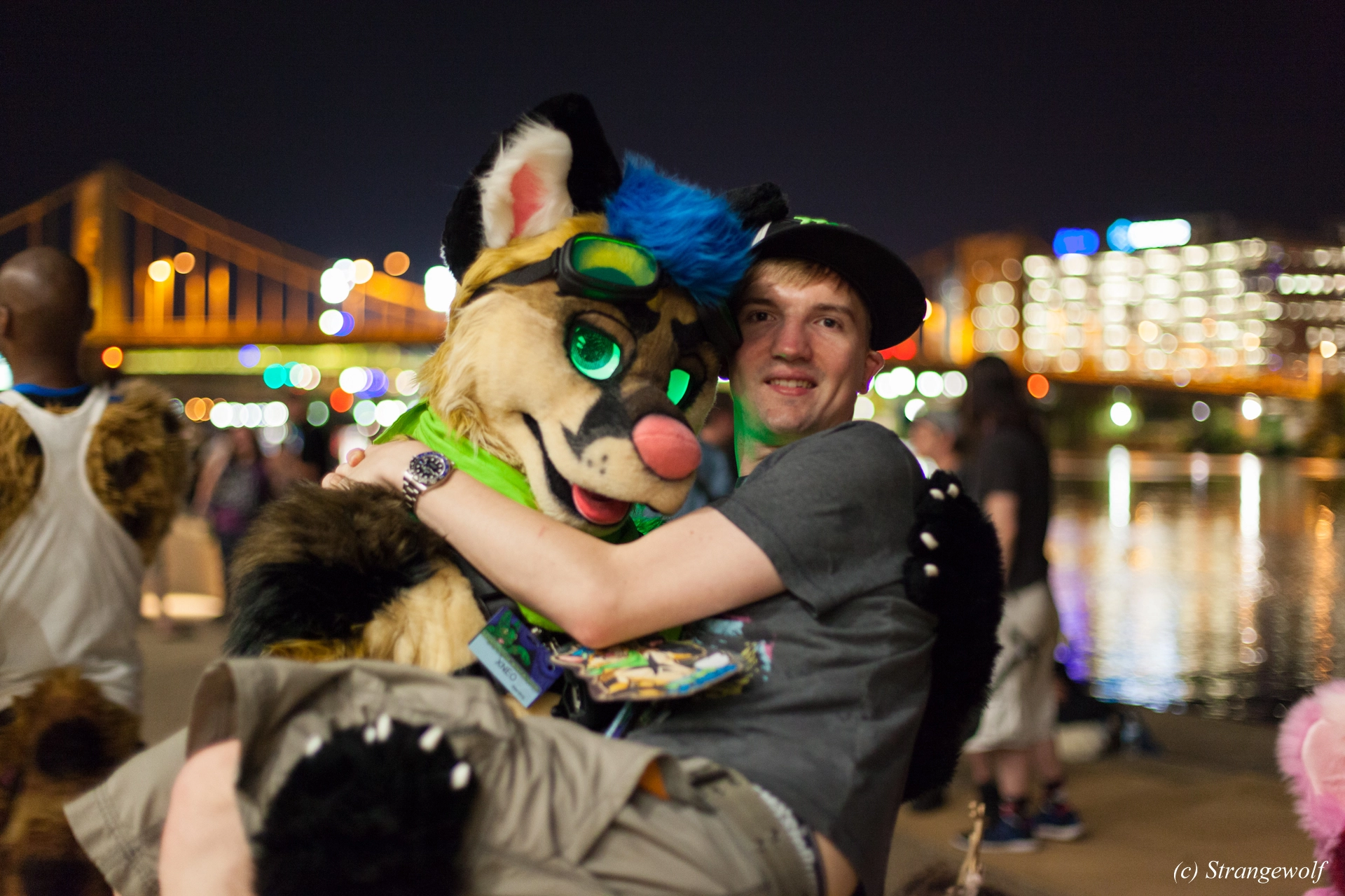 full image IMG_4651-lr19t.jpg