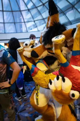 1R3A0241-lr19t.jpg of MFF/MFF2025/