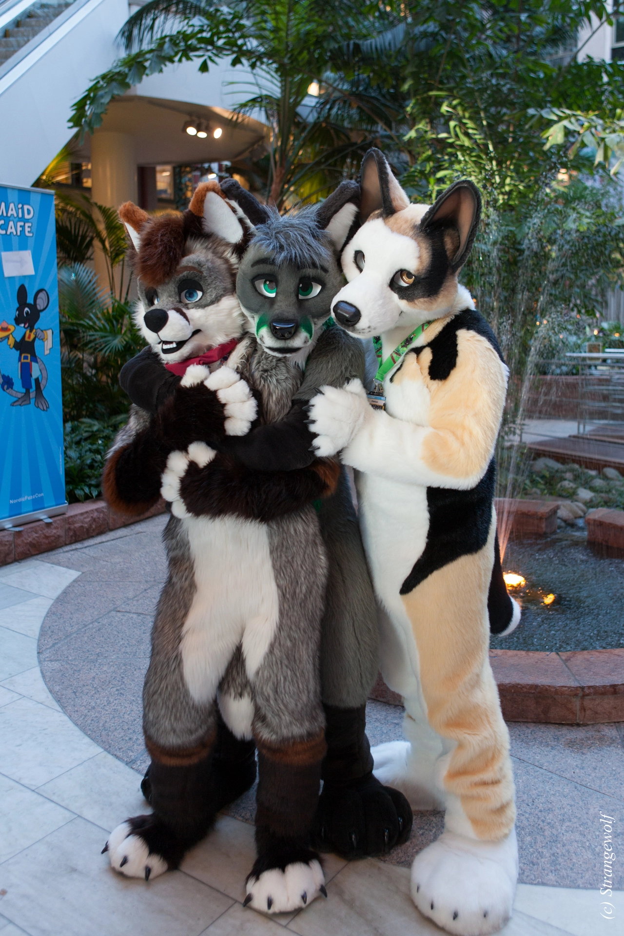 full image IMG_0203-lr19t.jpg