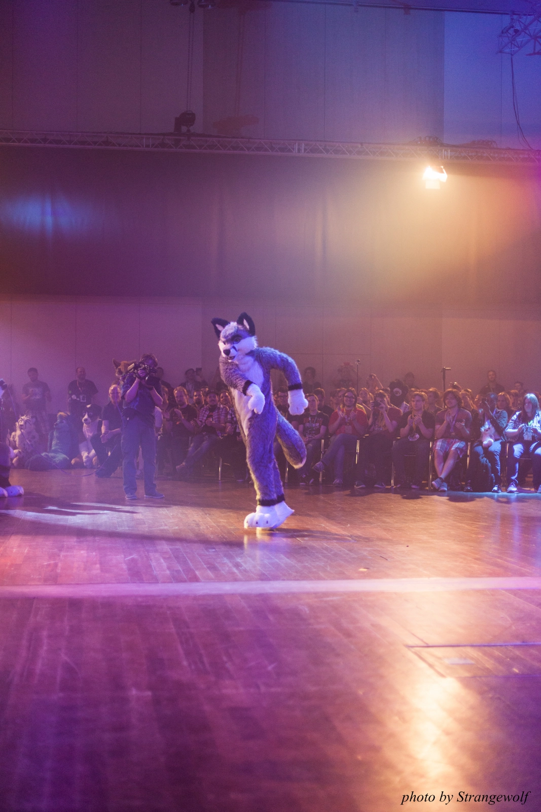 full image IMG_2929-lr16t.jpg