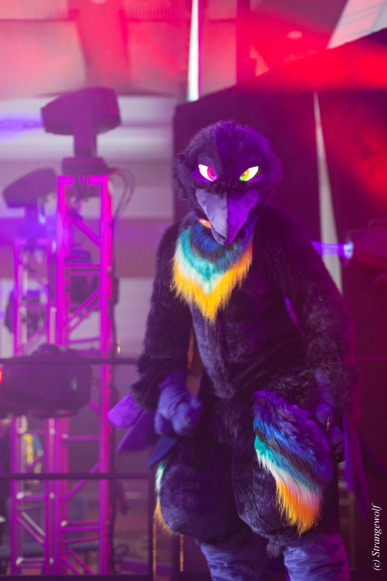 full image 1R3A0773-lr19t.jpg