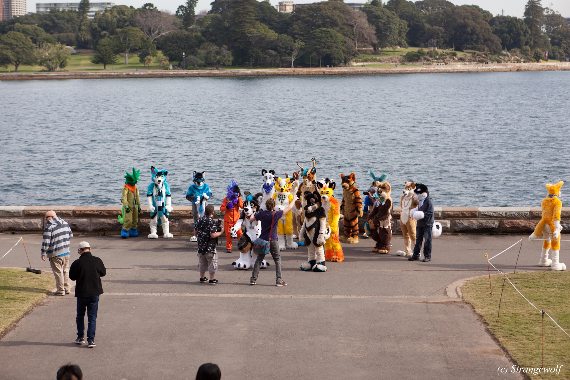 full image IMG_4249-lr19t.jpg