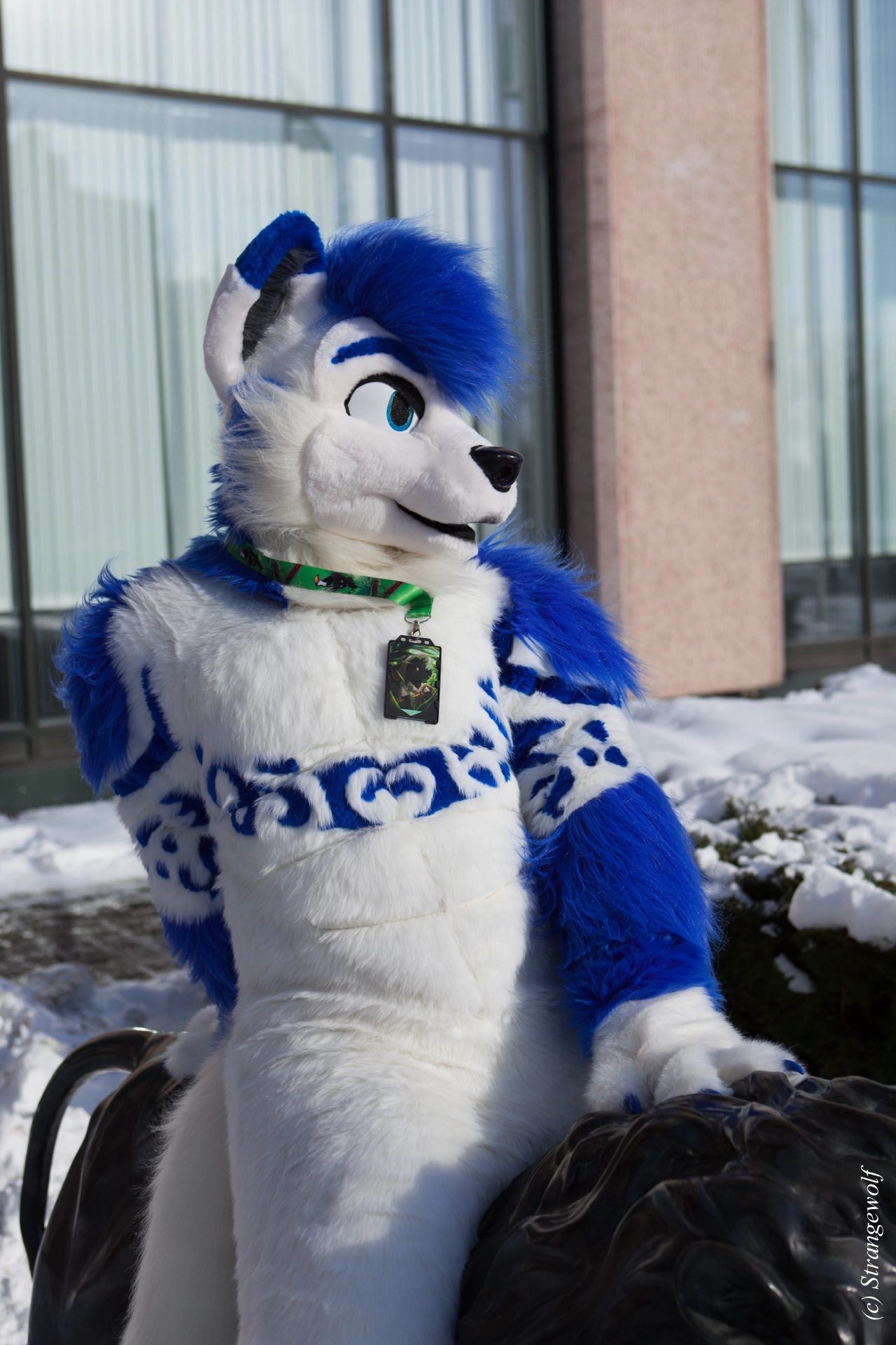 full image IMG_9730-lr19t.jpg