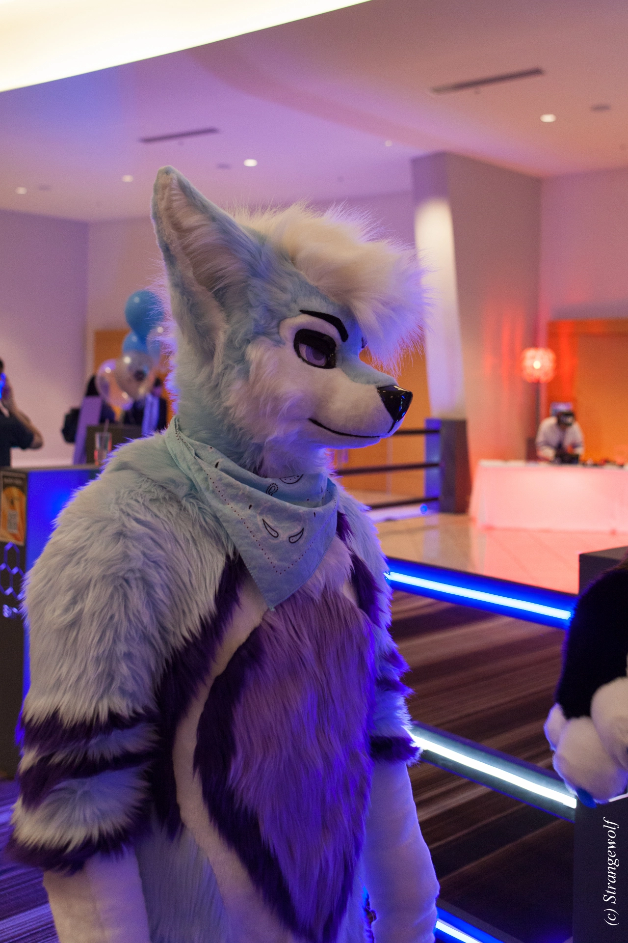 full image IMG_1341-lr19t.jpg