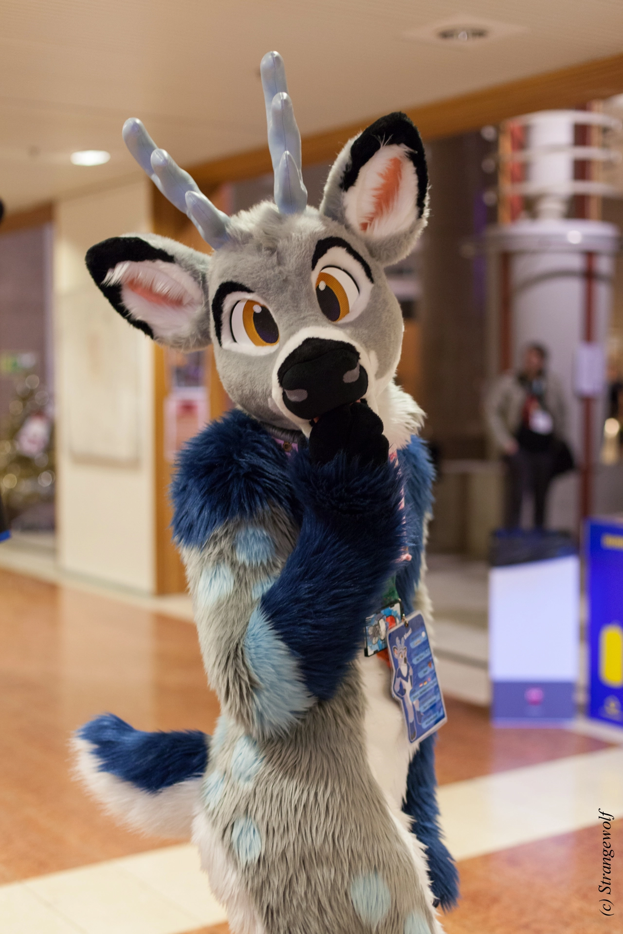 full image IMG_9172-lr19t.jpg