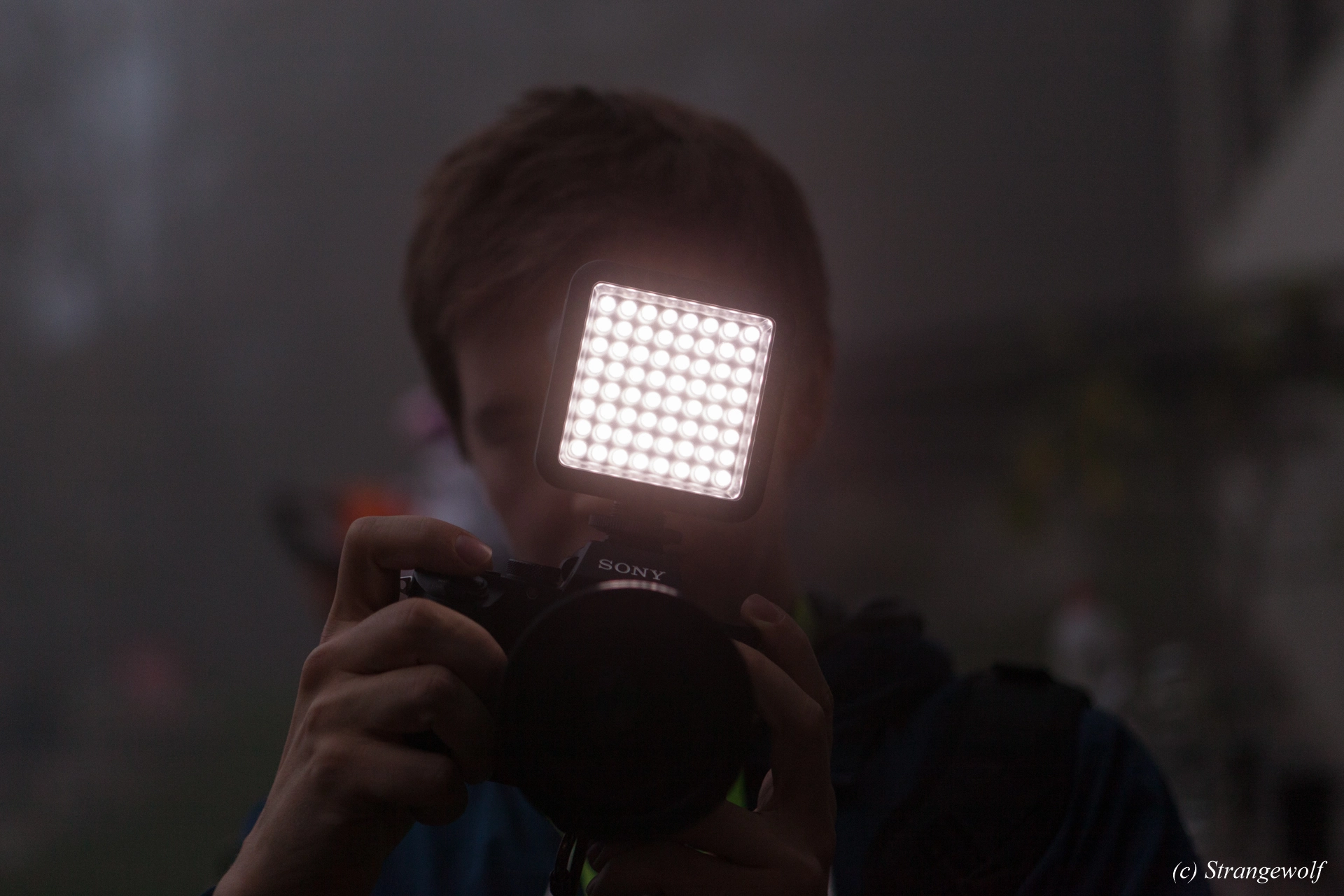 full image IMG_7019-lr19t.jpg