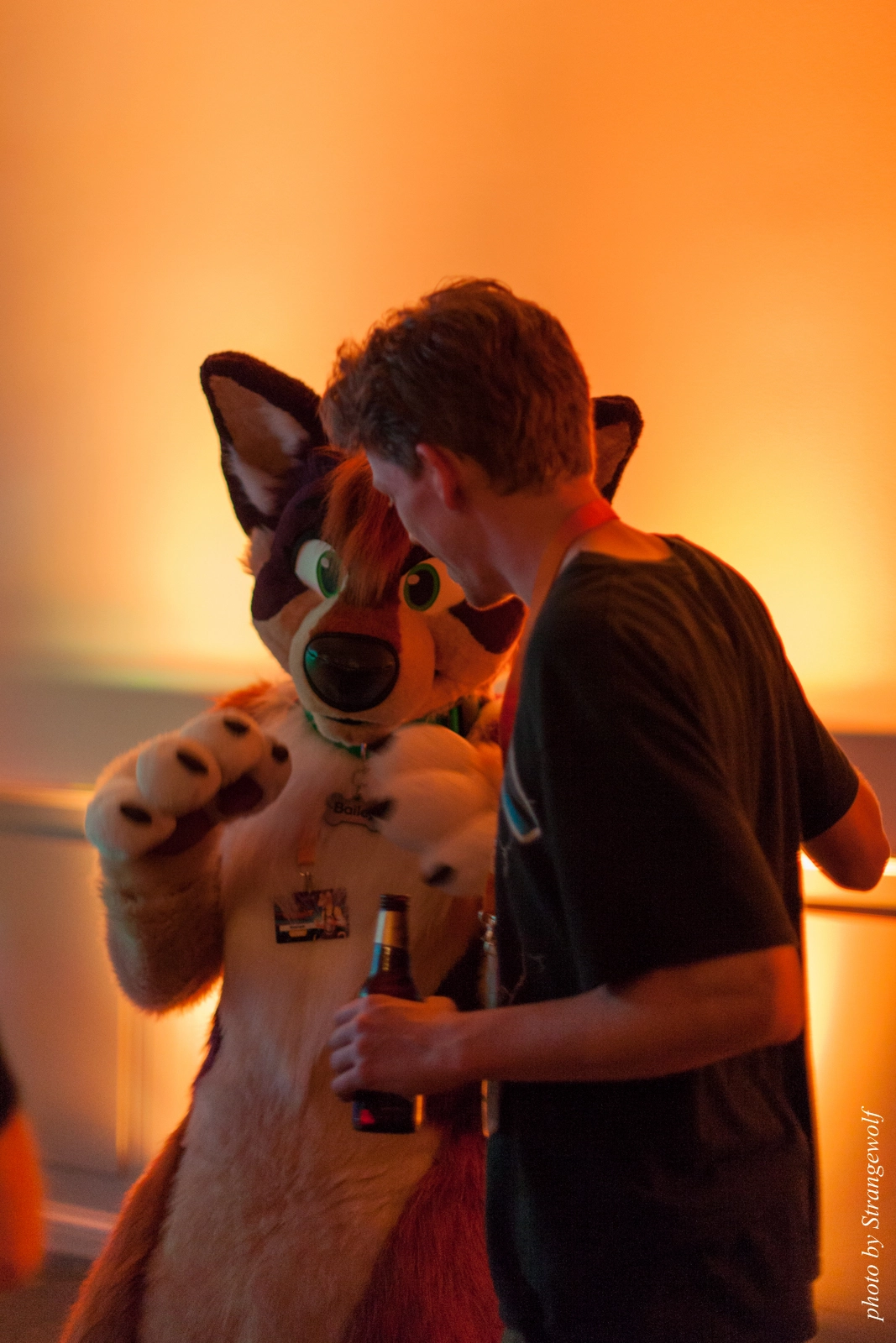 full image IMG_5326-lr16t.jpg