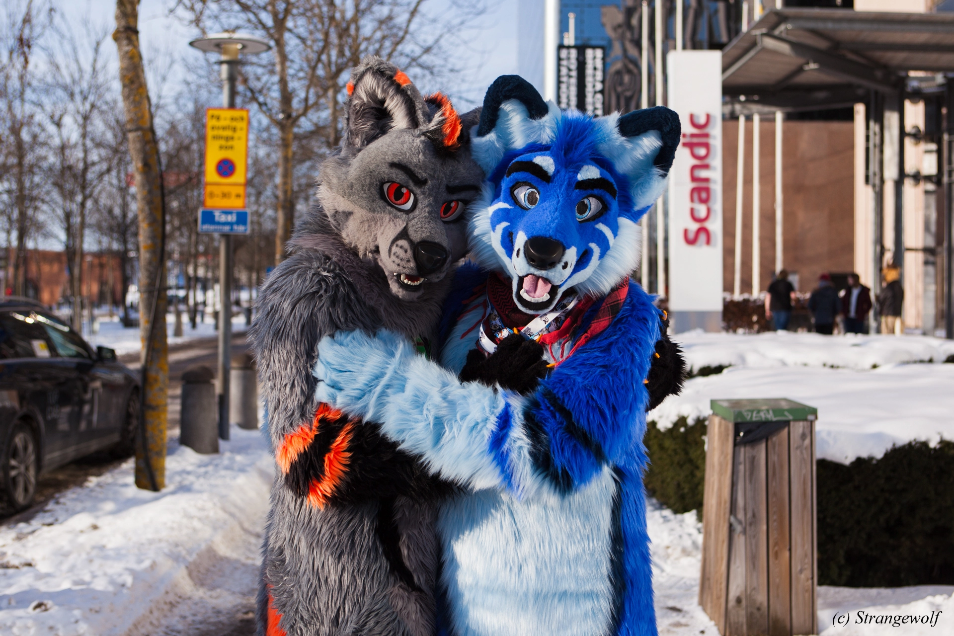 full image IMG_9968-lr19t.jpg