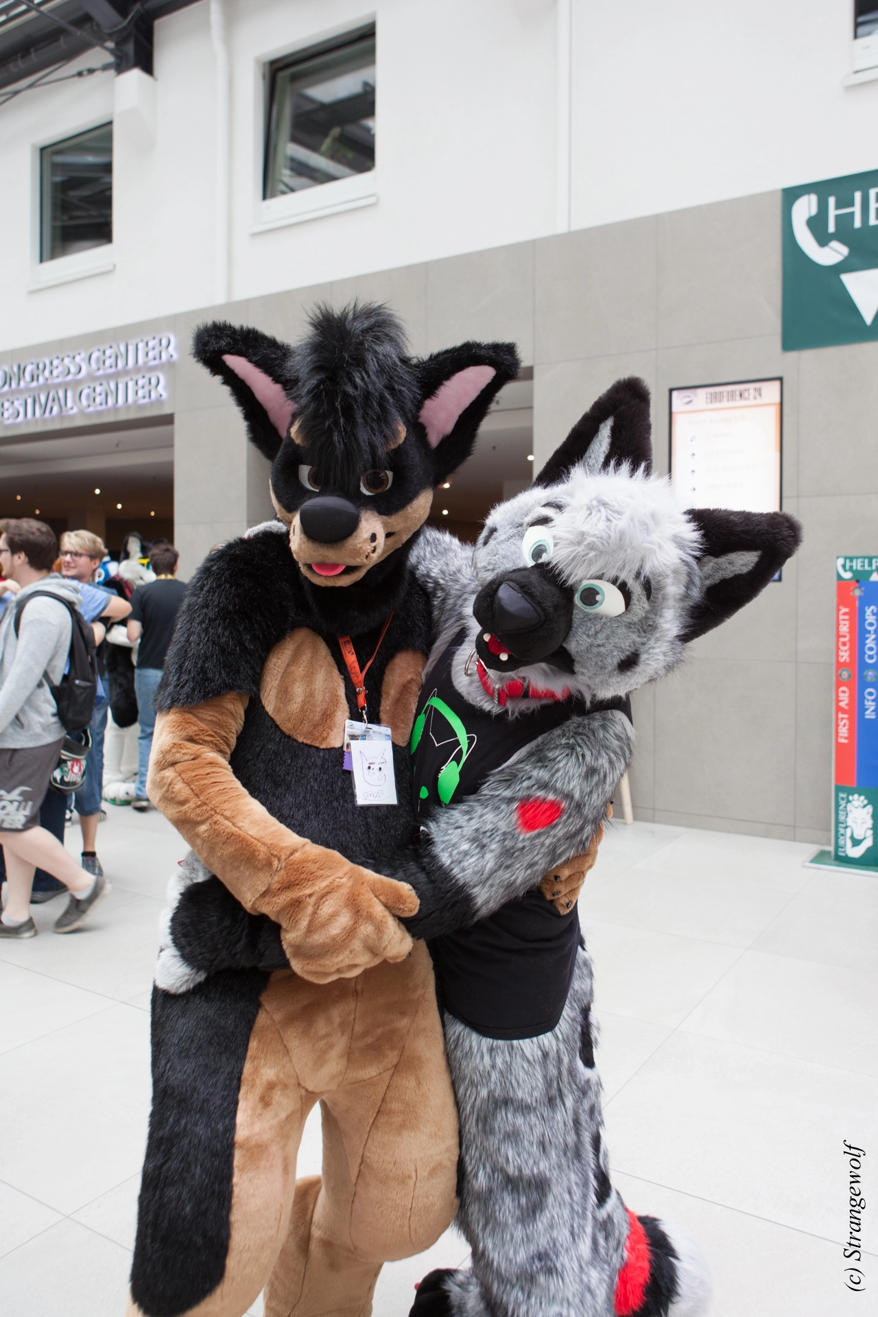 full image IMG_5338-lr19t.jpg