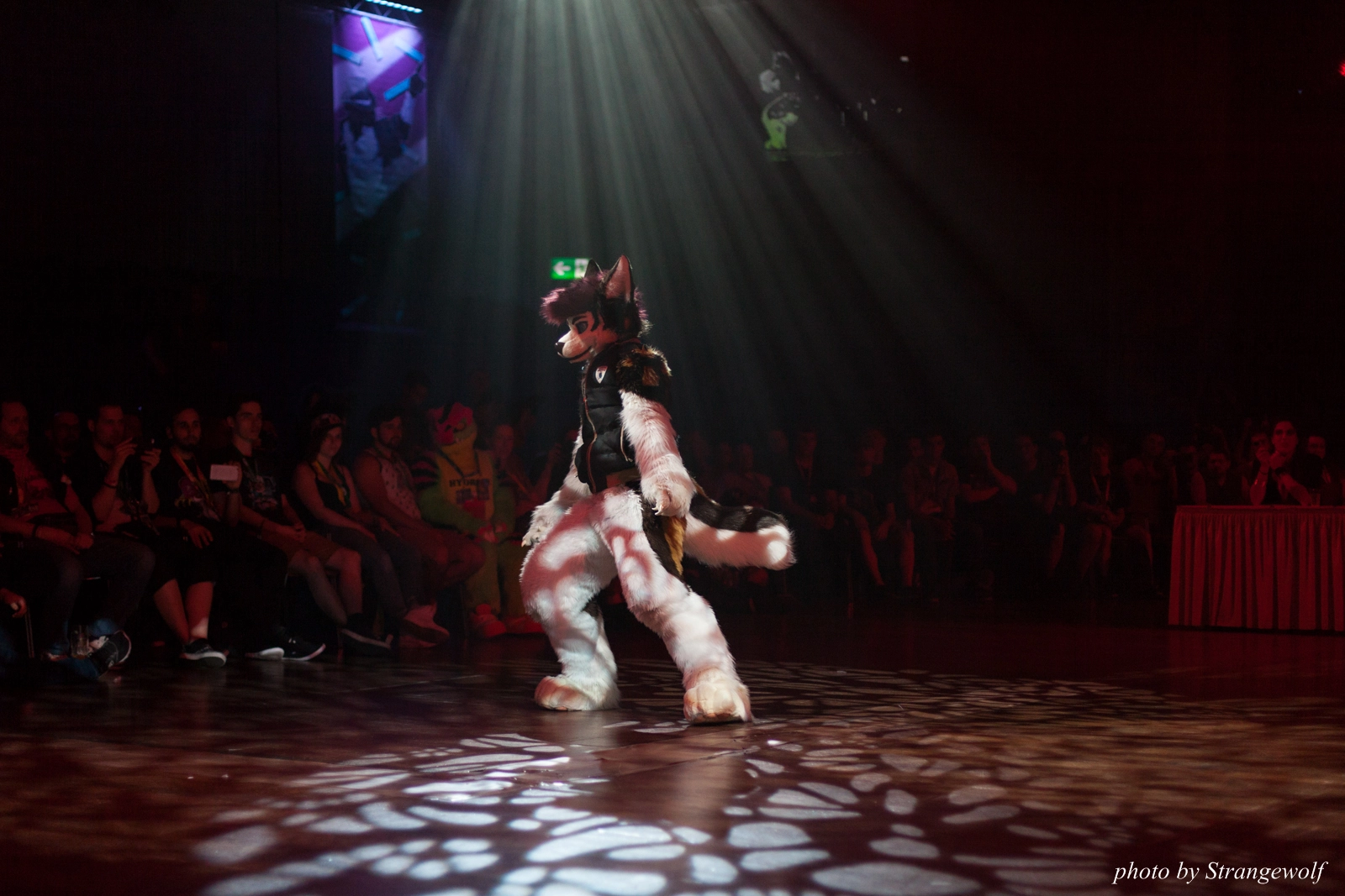 full image IMG_9399-lr16t.jpg