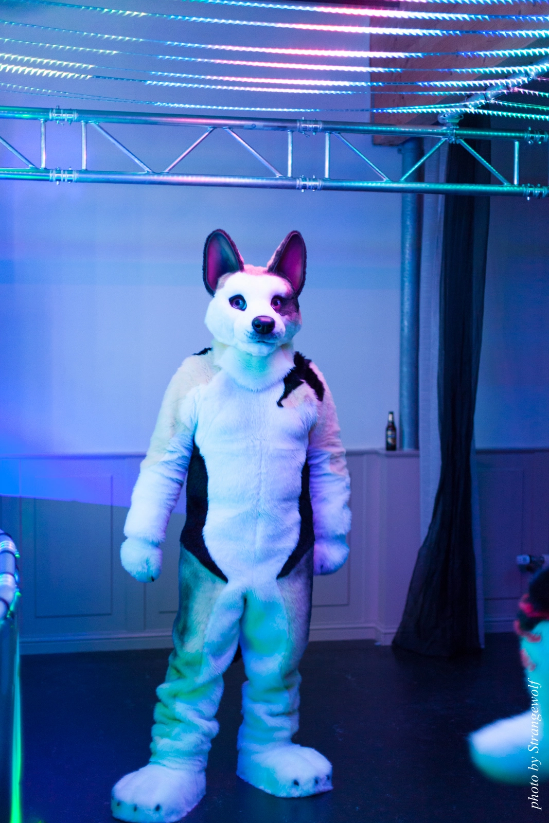 full image IMG_5380-lr16t.jpg