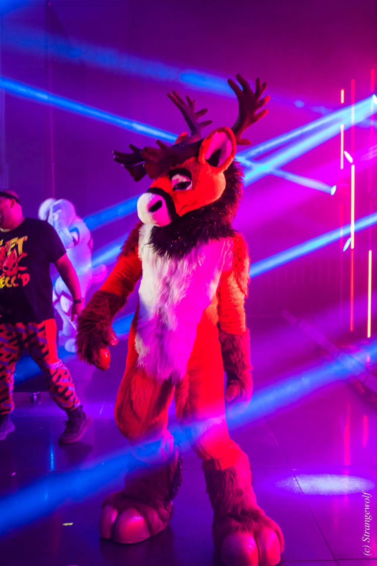 full image 1R3A5329-lr19t.jpg