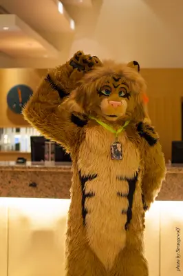 IMG_1493-lr16t.jpg of NFC/NFC2017/