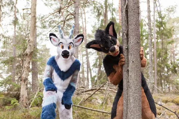 IMG_8541-lr19t.jpg of NFC/NFC2019/Shoot-Strife_Carlito/