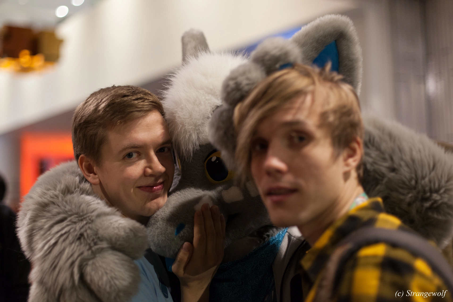 full image IMG_9163-lr19t.jpg