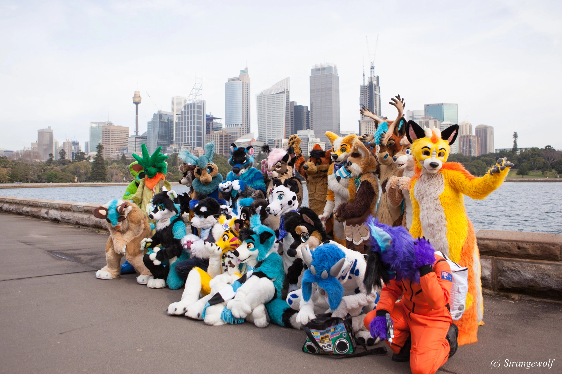 full image IMG_4261-lr19t.jpg