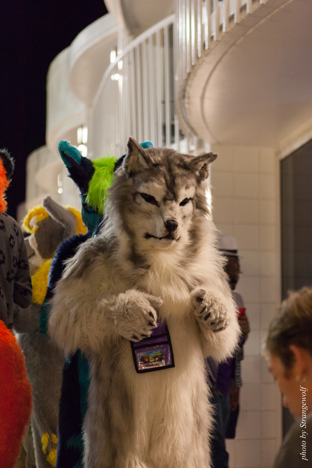 full image IMG_8059-lr16t.jpg