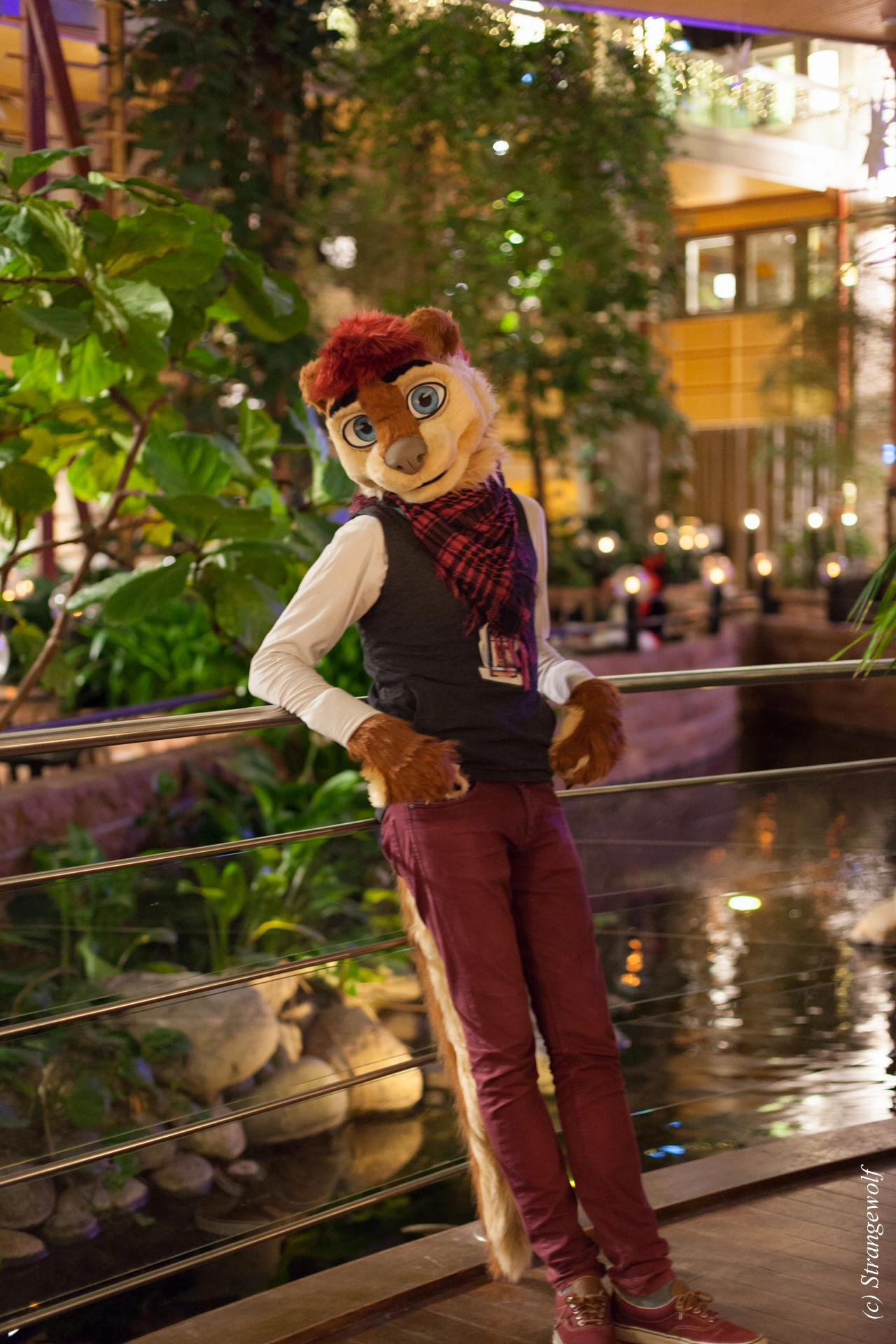 full image IMG_9893-lr19t.jpg