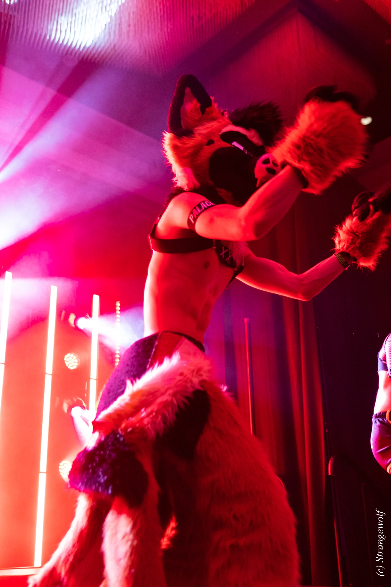 full image 1R3A6601-lr19t.jpg