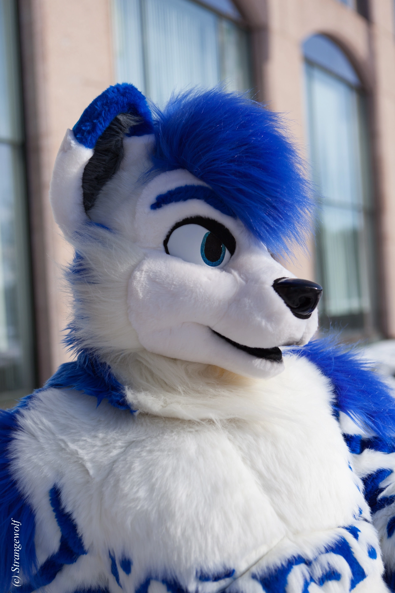 full image IMG_9754-lr19t.jpg