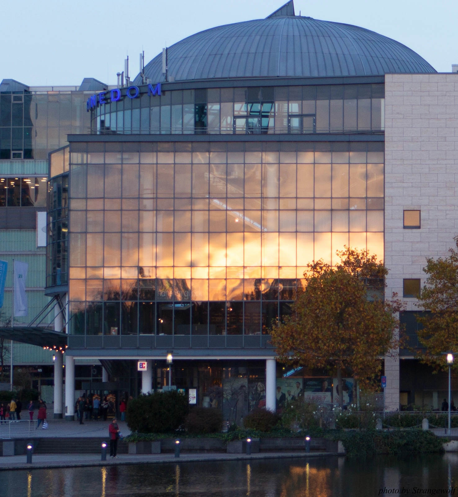 full image IMG_5360-lr16t.jpg