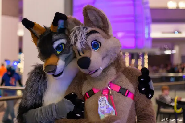 IMG_2011-lr19t.jpg of FWA/FWA2018/