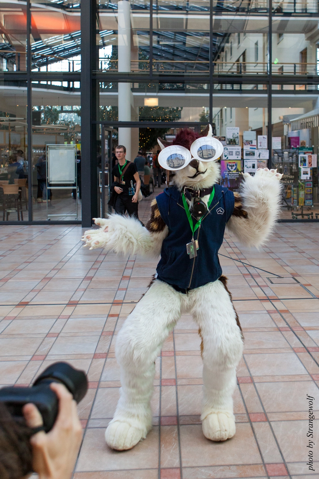 full image IMG_2189-lr16t.jpg