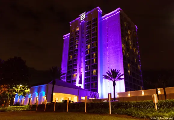 IMG_8011-lr16t.jpg of ESG/ESG2015/