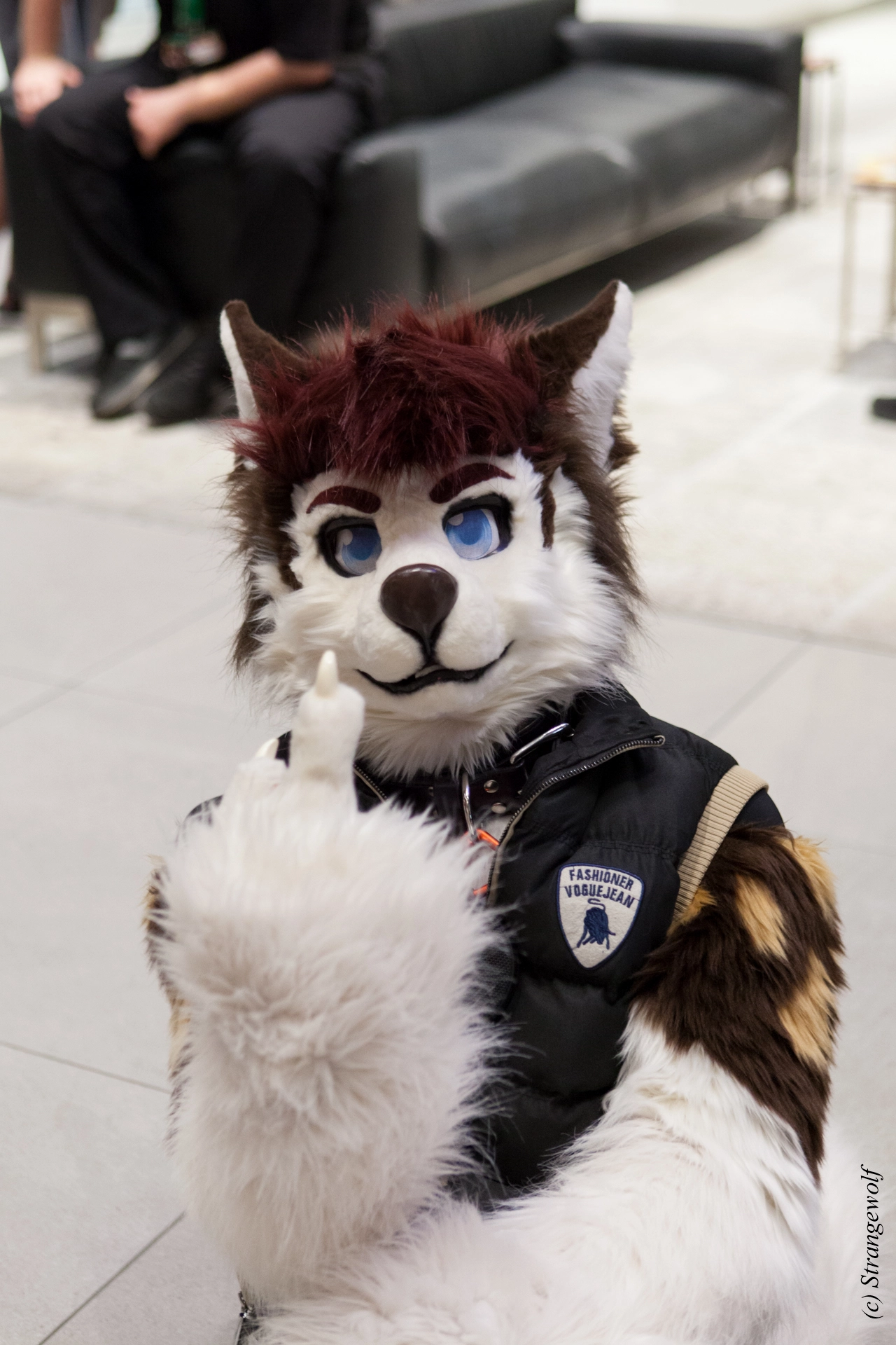 full image IMG_4800-lr19t.jpg