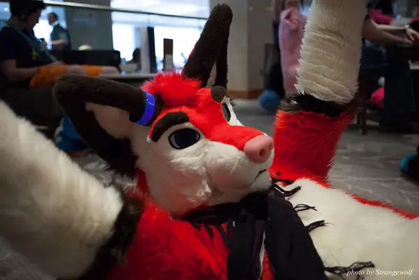 IMG_7428-lr16t.jpg of CFZ/CFZ2016/