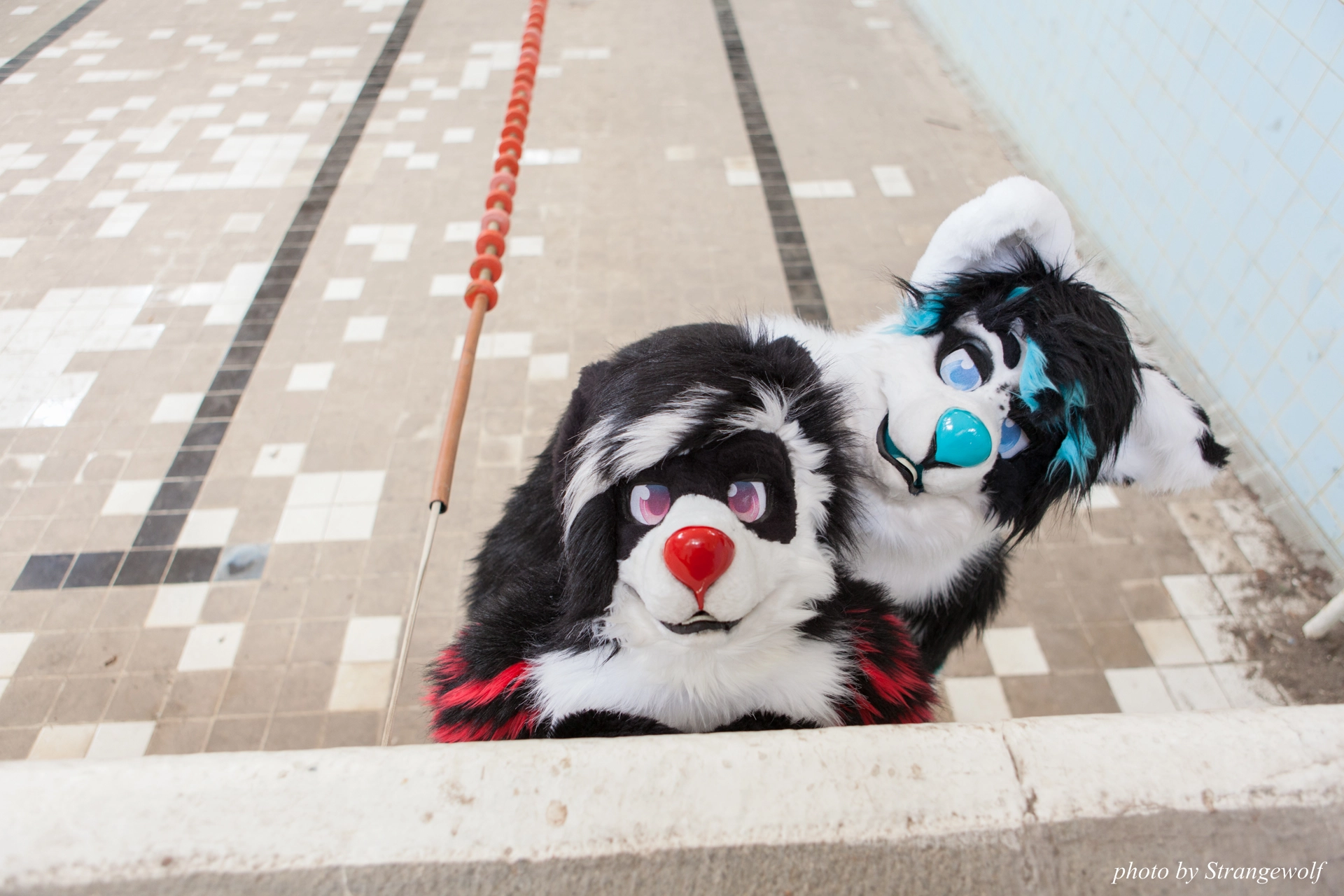 full image IMG_6057-lr19t.jpg