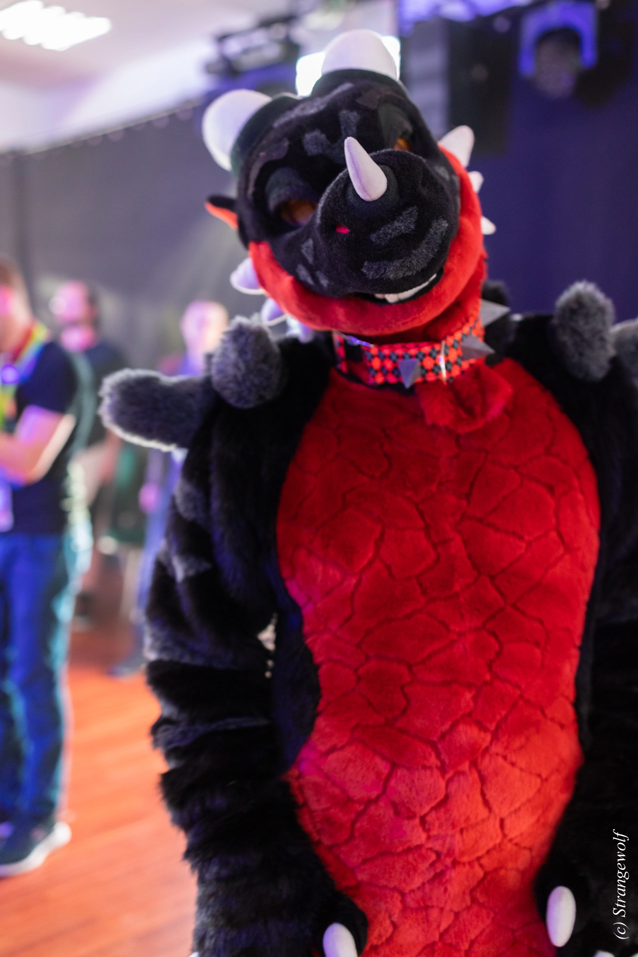 full image 1R3A6775-lr19t.jpg