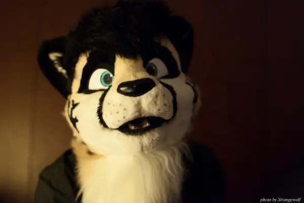 IMG_1233-lr16t.jpg of CFD/CFD15/