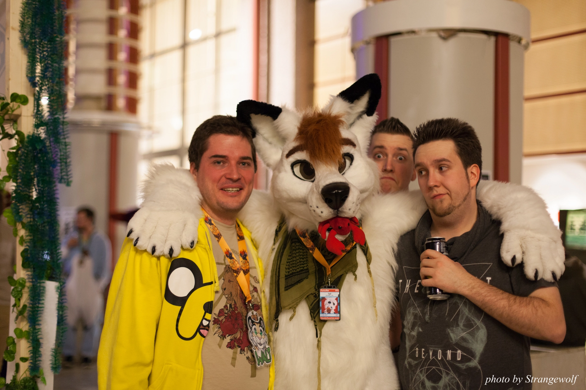 full image IMG_9223-lr19t.jpg