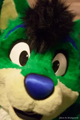 IMG_4420-lr16t.jpg of MFF/MFF2015/