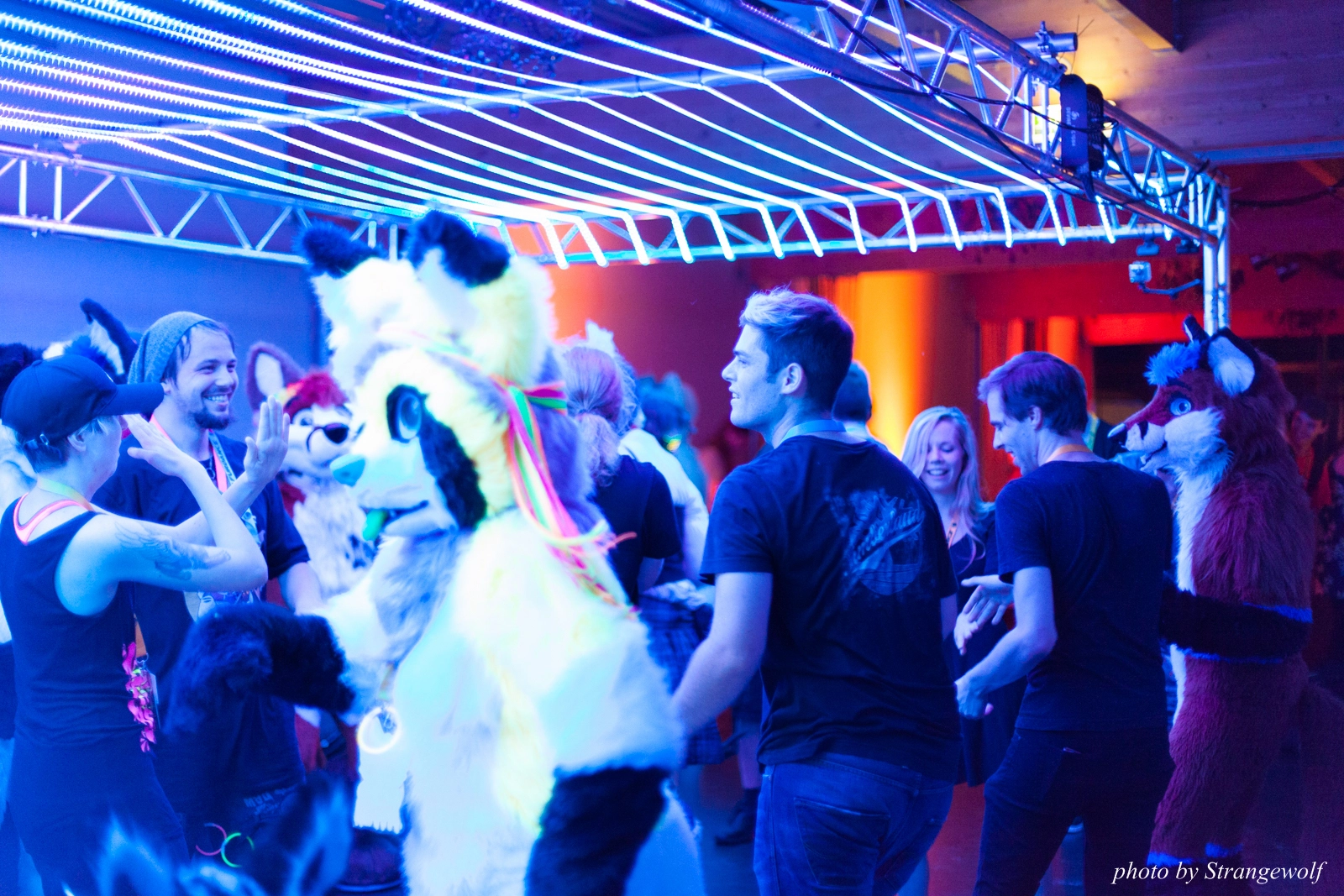 full image IMG_5429-lr16t.jpg