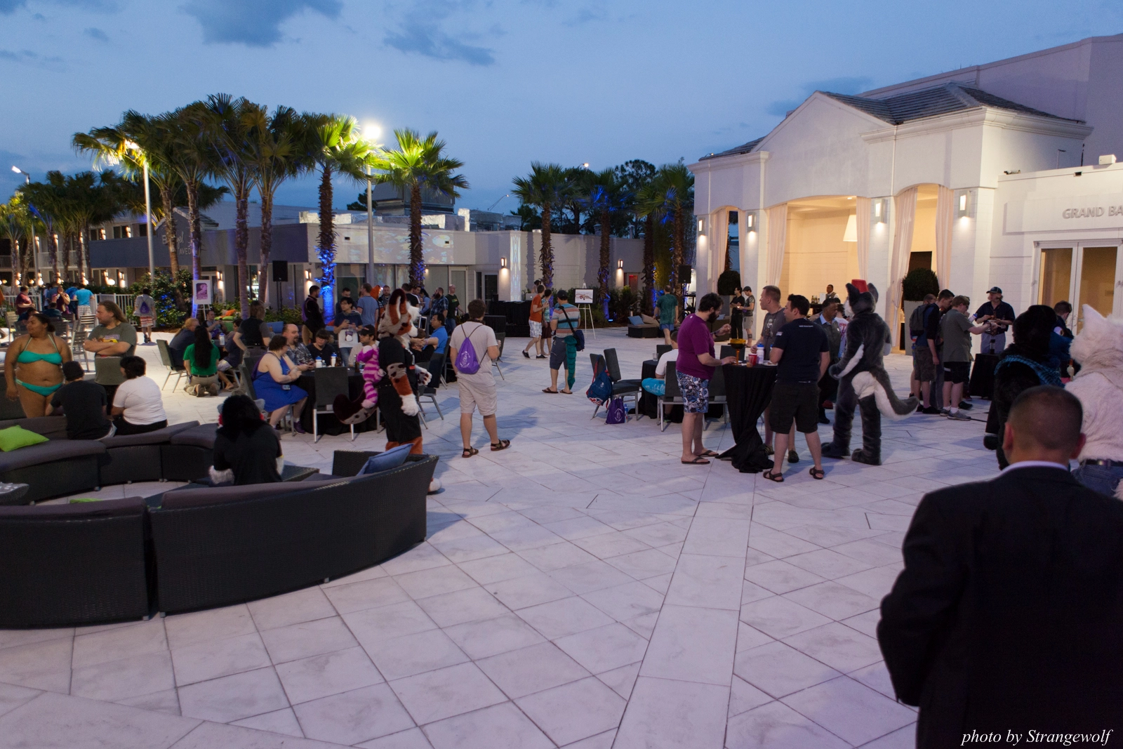 full image IMG_8414-lr16t.jpg