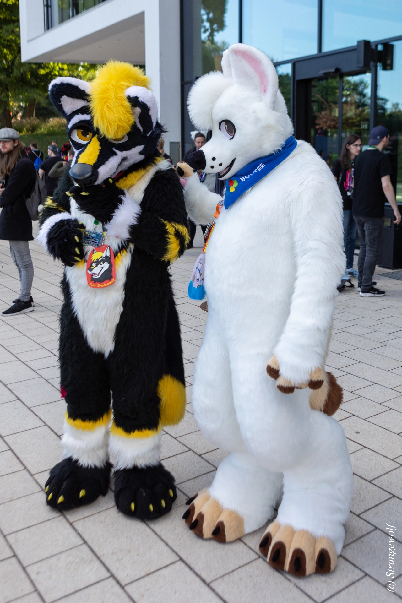 full image 1R3A9257-lr19t.jpg