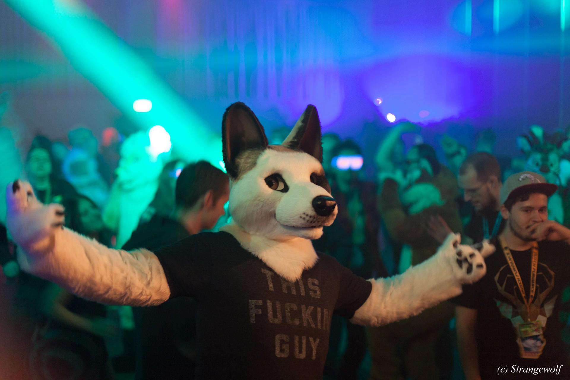 full image IMG_6880-lr19t.jpg