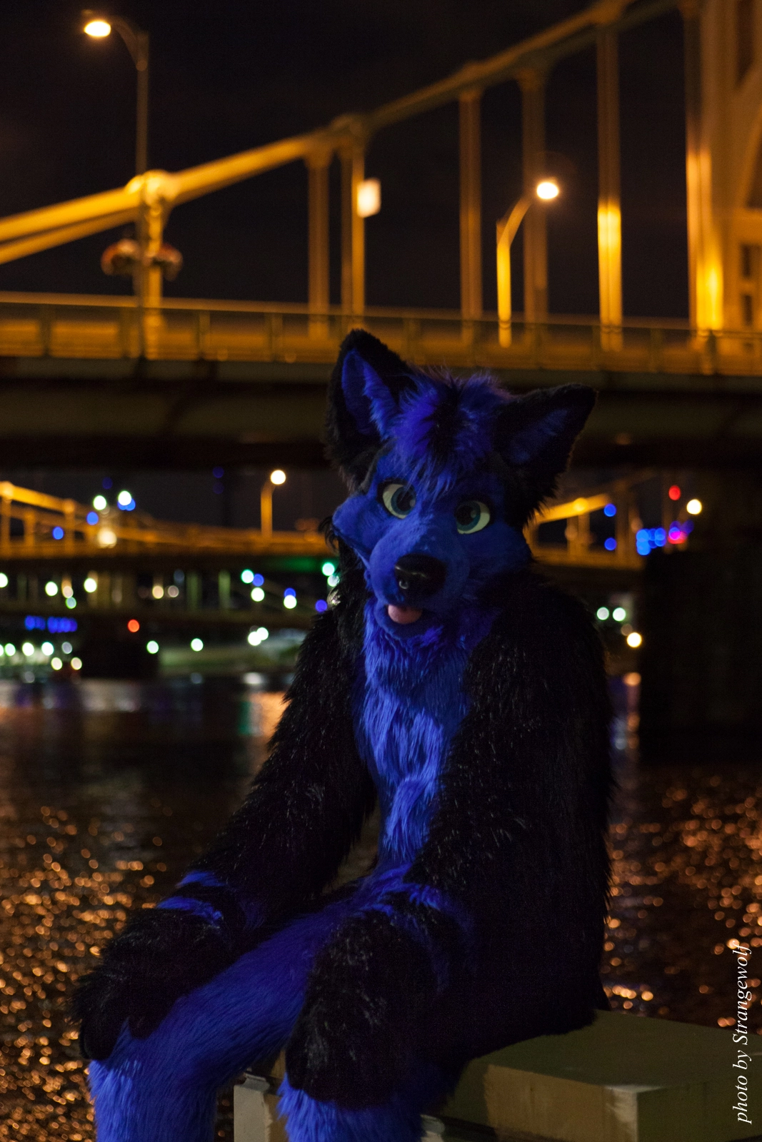 full image IMG_8529-lr16t.jpg