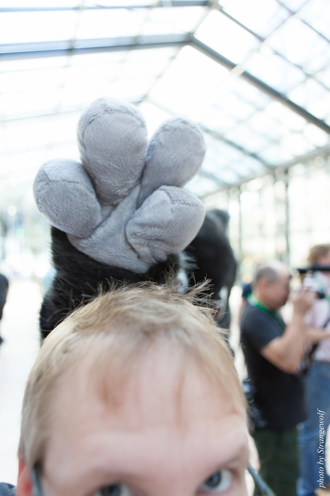 full image IMG_1828-lr16t.jpg