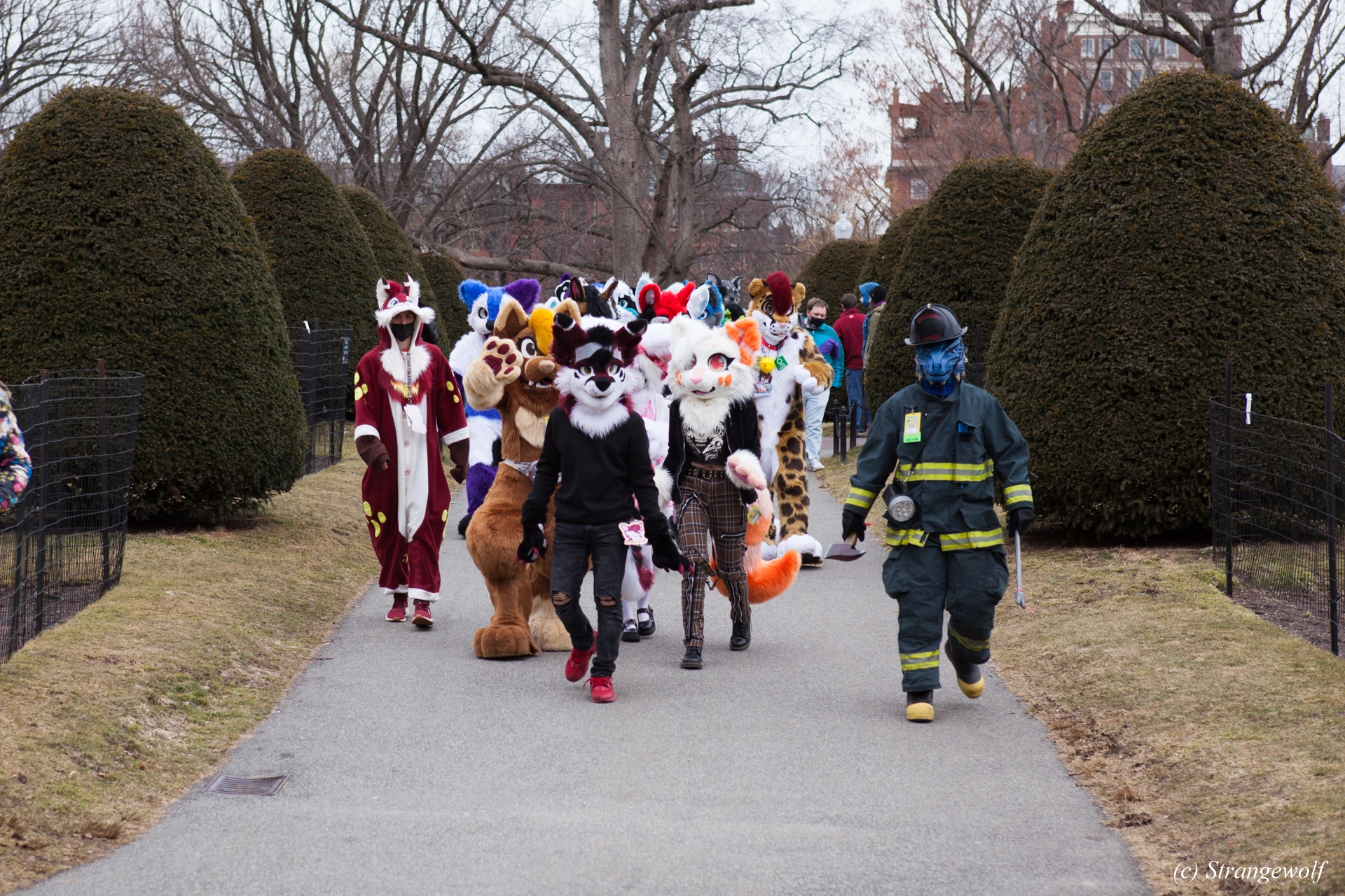 full image IMG_3164-lr19t.jpg