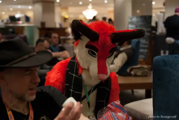 IMG_7157-lr16t.jpg of CFZ/CFZ2016/