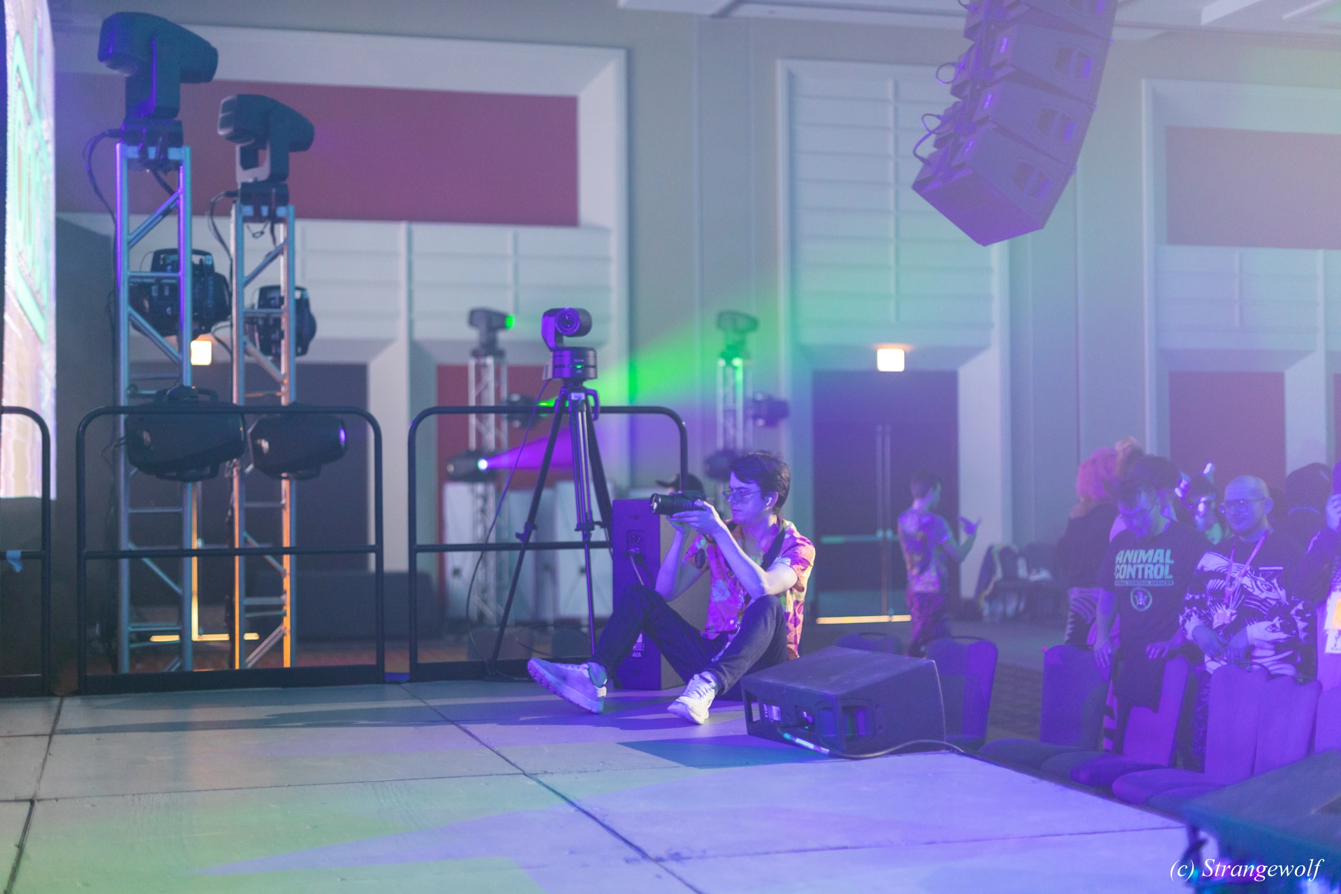 full image 1R3A0533-lr19t.jpg