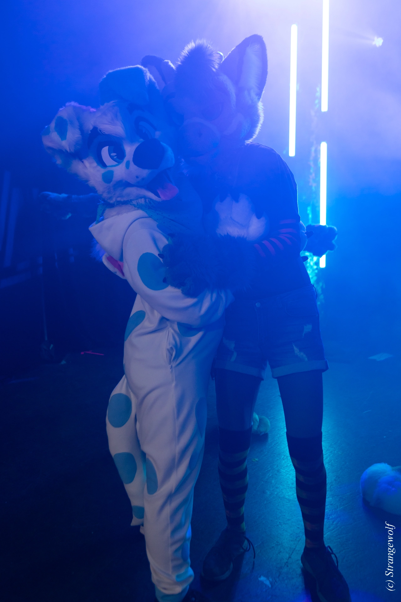 full image 1R3A1318-lr19t.jpg