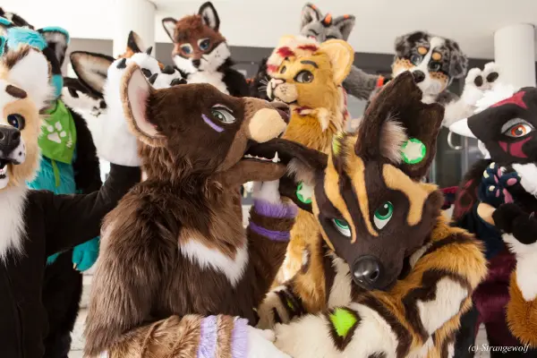 IMG_4915-lr19t.jpg of EF/EF24/Fotoshoot-Neonfurs/